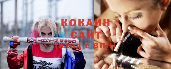 прущие грибы Касимов