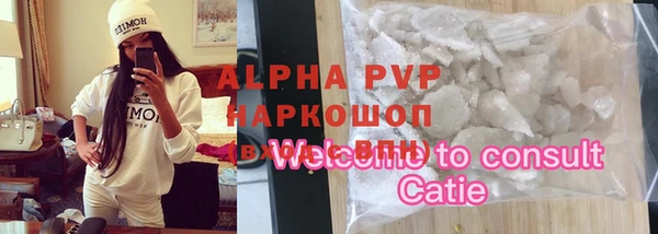 прущие грибы Касимов