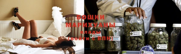 прущие грибы Касимов