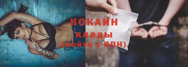 прущие грибы Касимов
