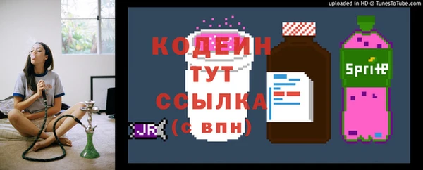прущие грибы Касимов