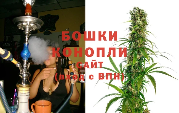 прущие грибы Касимов
