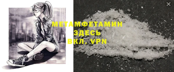 прущие грибы Касимов