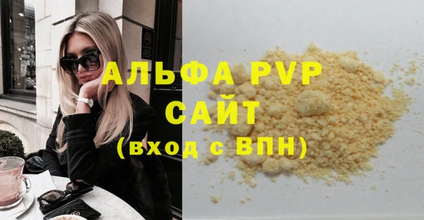 прущие грибы Касимов