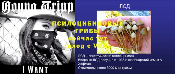 дмт Инсар