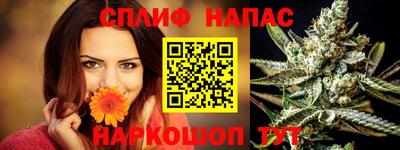 дурь Пугачёв