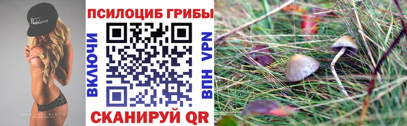 кракен ТОР наркота Морозовск Галлюциногенные грибы MAGIC MUSHROOMS
