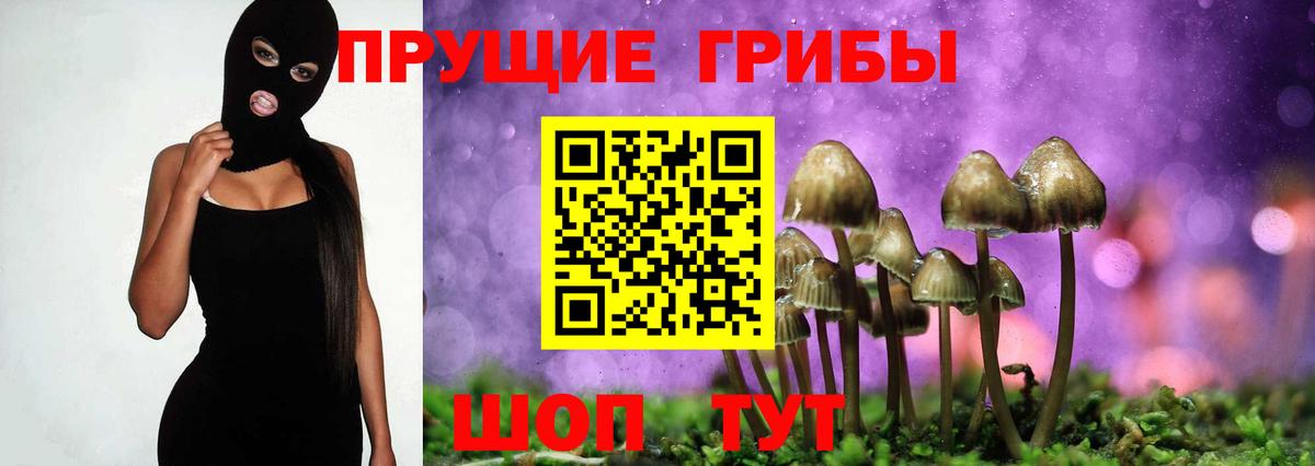 Морозовск  Галлюциногенные грибы Magic Shrooms  цена наркотик  Вход с VPN 
