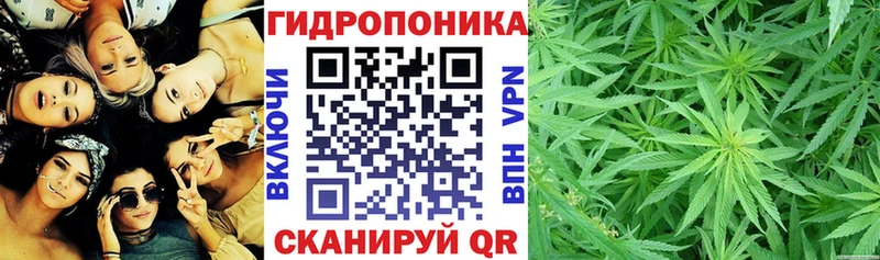 Конопля AK-47  где продают наркотики  Морозовск 