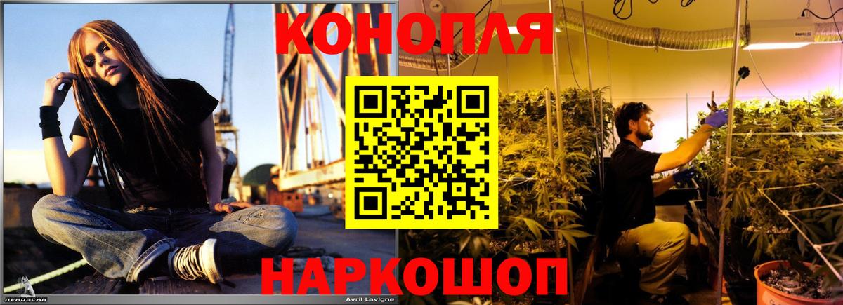 Морозовск  Марихуана Amnesia  Бошки Шишки ГИДРОПОН  Вход с VPN  Конопля THC 21%  Марихуана семена 
